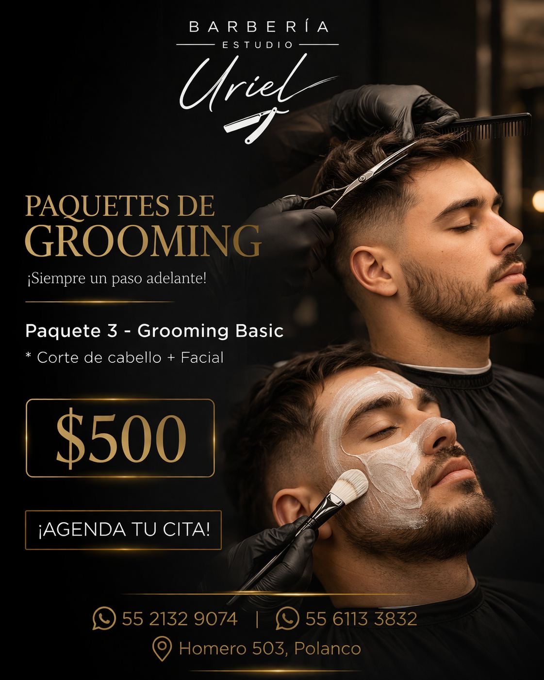 Paquete 3 Grooming Basic